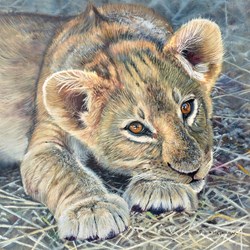 Resting by Pip McGarry - Original Painting on Stretched Canvas sized 12x12 inches. Available from Whitewall Galleries